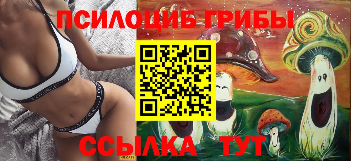 Галлюциногенные грибы GOLDEN TEACHER Новотроицк