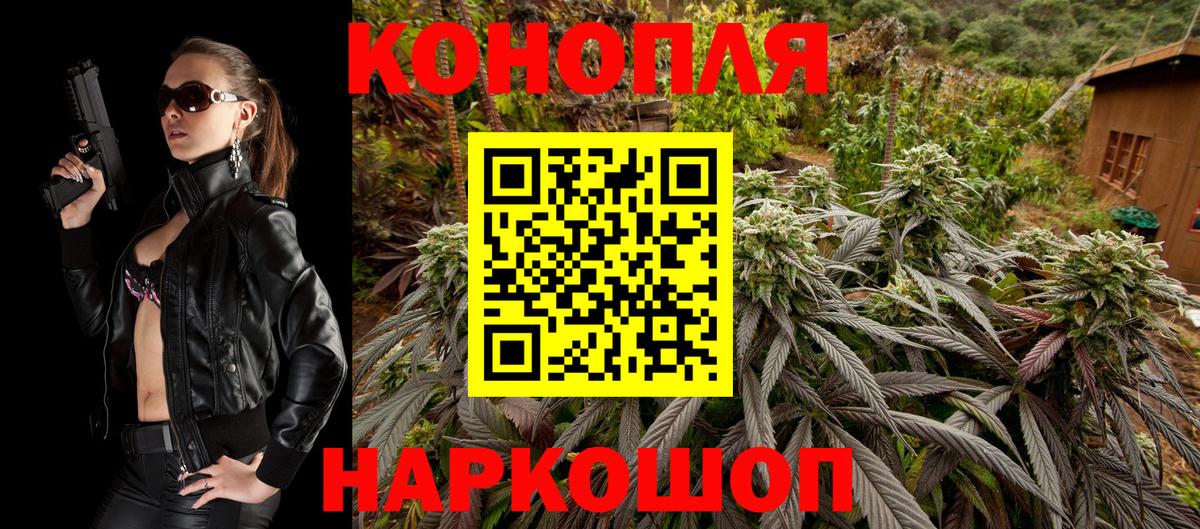 Бошки марихуана марихуана Новотроицк